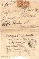 Cartas importantes de Janeiro 1919 e dos amigos que sufferam pela causa