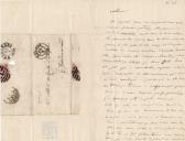 Carta