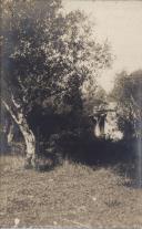 Postal ilustrado