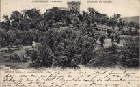 Postal ilustrado